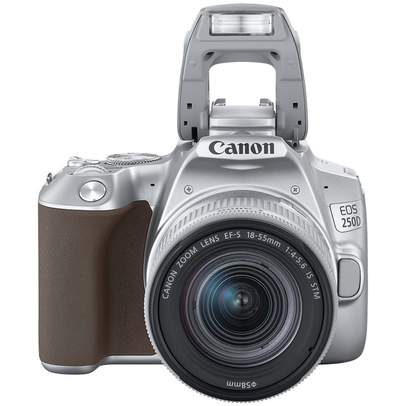 CANON EOS 250D Kit EF-S 18-55 mm silver
