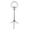 رینگ لایت وسکات بهمراه پایه مدل Westcott Ring Light FE-480IIIA - Image 3