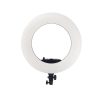 رينگ لايت وسکات بهمراه پایه Westcott Ring Light 480 IV - Image 8