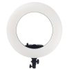 رینگ لایت مونوگراف بهمراه پایه Monograph Ring Light FE-480 III - Image 2