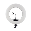 رینگ لایت وسکات بهمراه پایه مدل Westcott Ring Light FE-480IIIA