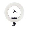 رينگ لايت وسکات بهمراه پایه Westcott Ring Light 480 IV - Image 3
